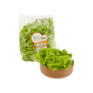 Alface Crespa Orgânica 200g