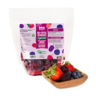Frutas Vermelhas Orgânica Congelada Oba Bem Querer 440 G