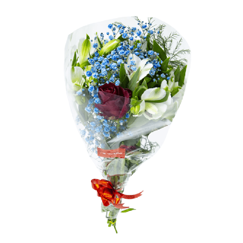 Buque-De-Flores-Poetica