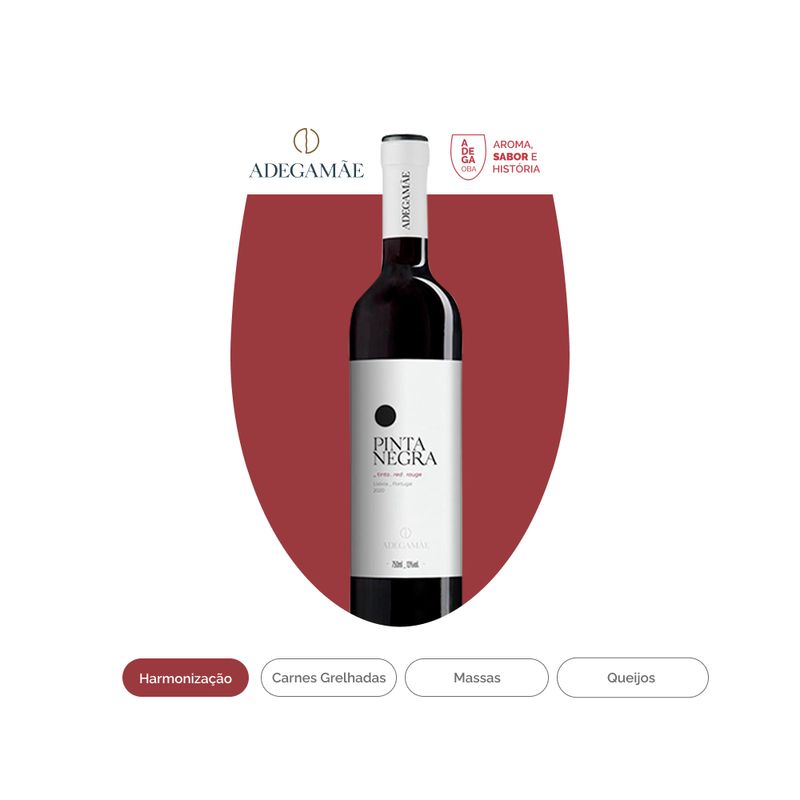 Vinho-Portugues-Adegamae-Pinta-Negra-Tinto-750-Ml