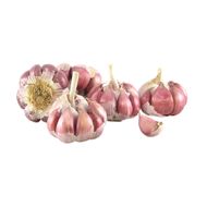 Alho Roxo Orgânico 150g