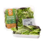 Mix De Alfaces Lisas Hidropônicas Higienizado Oba Bem Querer 140 G