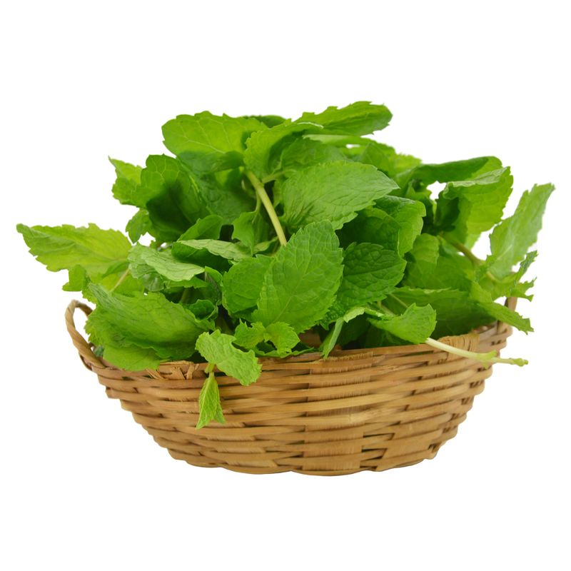 Hortela-Hidroponica-Unidade