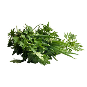 Cheiro-Verde-Hidroponico-Unidade