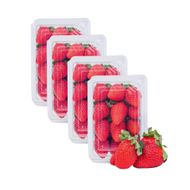 Kit com 4 Bandejas de Morango 200g