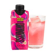 Watermelon Sugar Drinkiss
