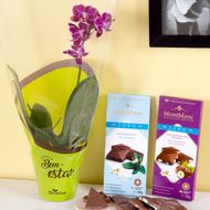 Kit 2 Chocolates Montblanc 80 G +  1 Orquídea Phalaenopsis