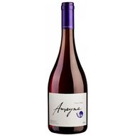 Vinho Chileno Amayna Pinot Noir Tinto 750 Ml