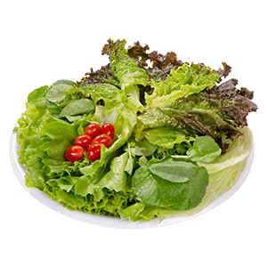 Salada-Completa-Oba