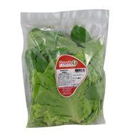 Quarteto Verde Higienizado Pronto! 300 G
