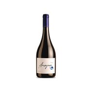 Vinho Chileno Amayna Syrah 750 Ml Tto