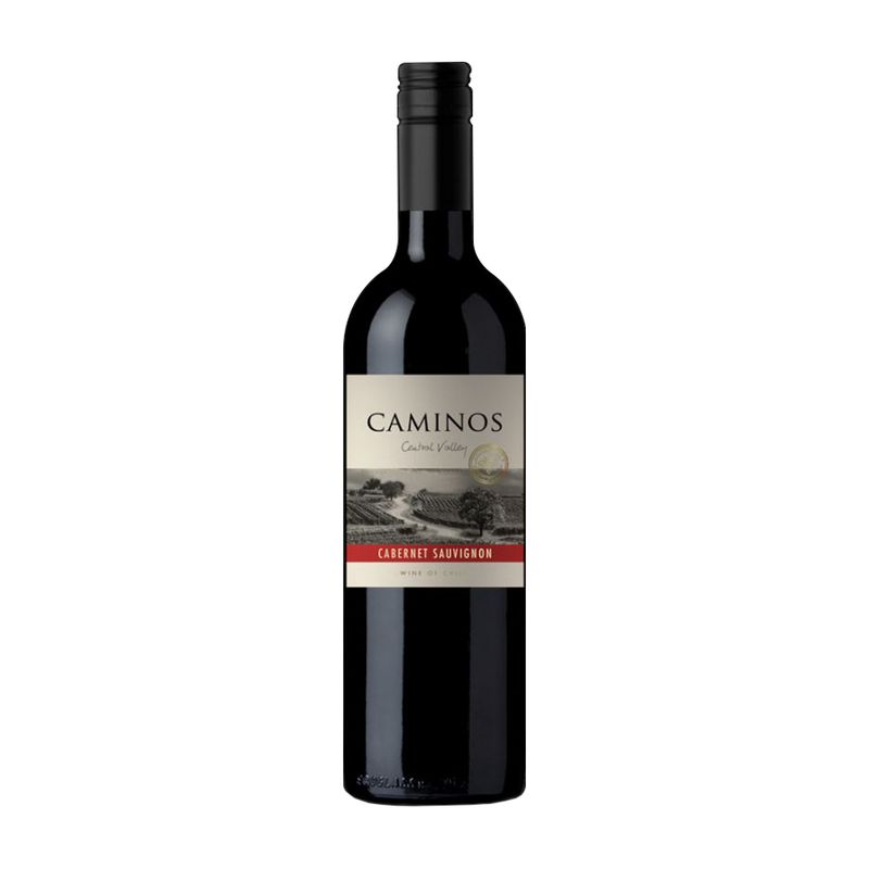 Vinho-Espanhol-Caminos-Jovem-Tinto-750-Ml