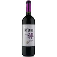 Vinho Brasileiro Salton Merlot Intenso Tinto 750 Ml