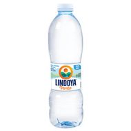 Agua Mineral Natural Lindoya Verao 500 Ml