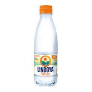 Água Lindoya Verão Com Gás 300 Ml