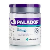 Palatinose Paladop 300 G