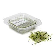Microgreens De Alho Poró Pink Farms