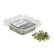 Microgreens De Rúcula Pink Farms