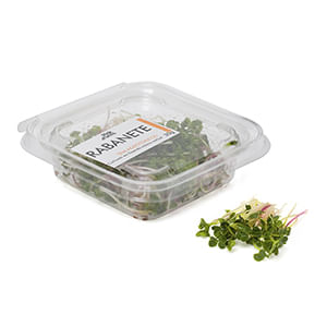 Microgreens-De-Rabanete-Pink-Farms