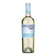 Vinho Chileno Terra Andina Sauvignon Blanc 750 Ml