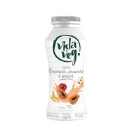 Iogurte Vegano Sabor Coco Com Banana, Mamao E Maca Vida Veg 170 G