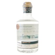 Gin Botanic Velvo 700 Ml