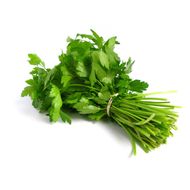 Coentro Higienizado Orgânico 90g