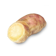 Batata Yacon Orgânica 600 G