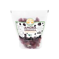 Amora Orgânica Gourmet Congelada Fazenda Guata Porã 440 G