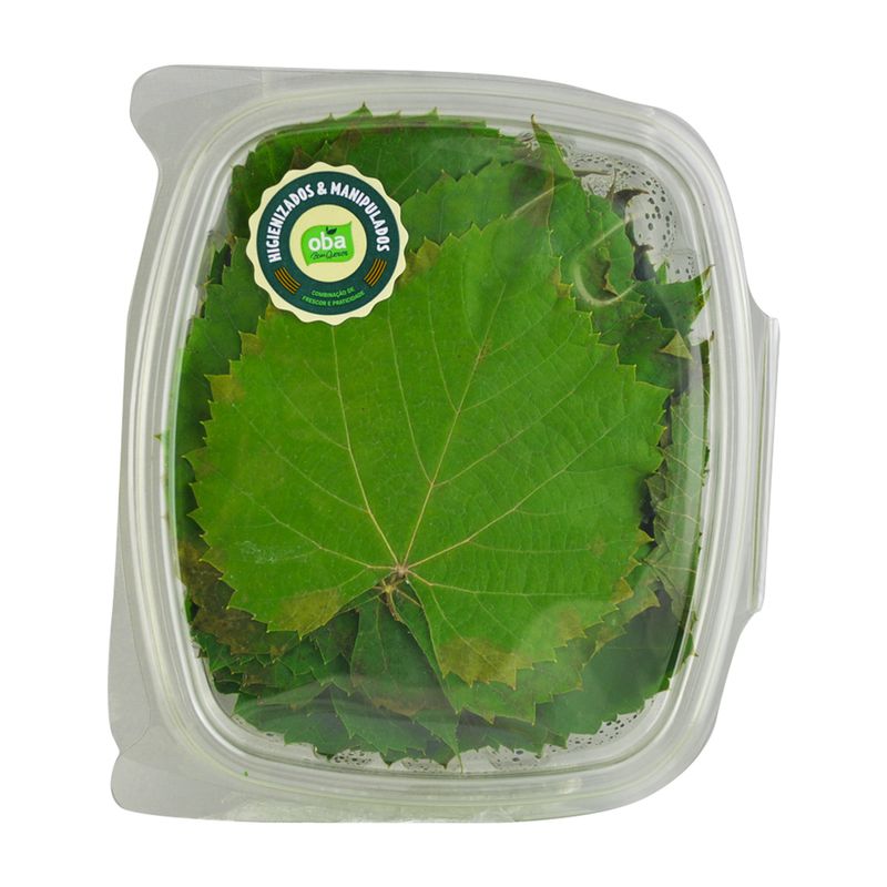 Folha-De-Uva-Bj-Oba
