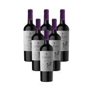 Caixa de Vinho Argentino Dona Paula Los Cardos Malbec Tinto 750 Ml 6 unidades