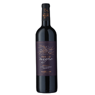 Vinho Argentino Fuego Negro Blend Petit Verdot Malbec Tinto 750 Ml