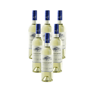 Caixa de Vinho Chileno Casas Del Bosque Reserva Sauvignon Blanc 750 Ml 6 unidades