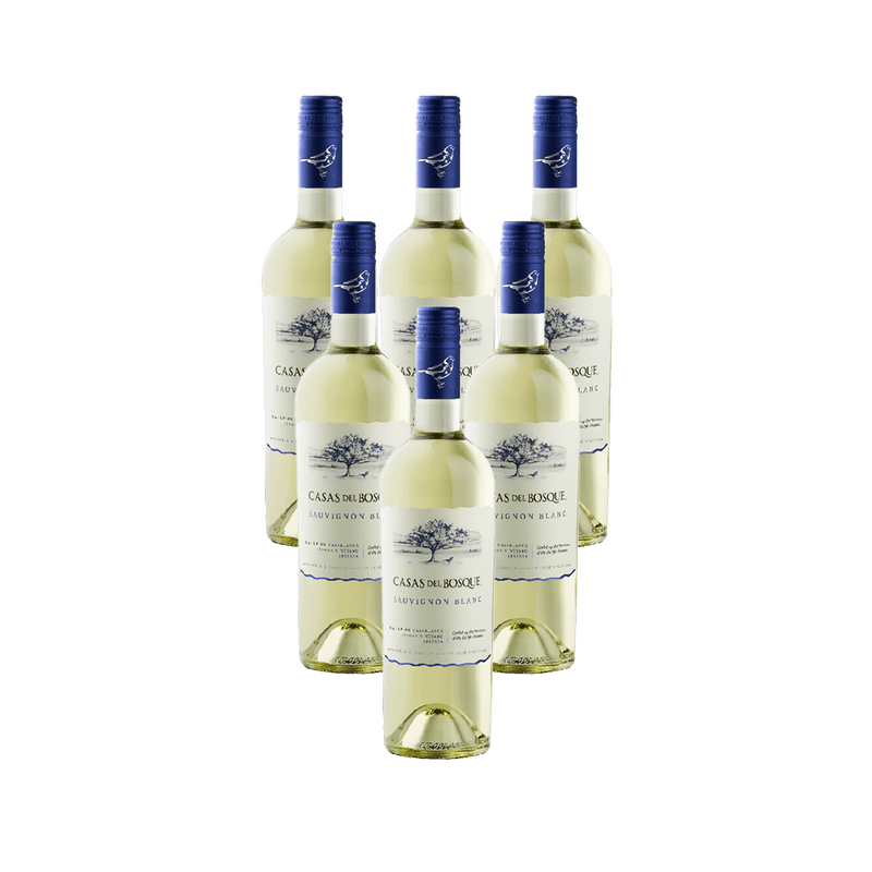 Caixa-de-Vinho-Chileno-Casas-Del-Bosque-Reserva-Sauvignon-Blanc-750-Ml-6-unidades