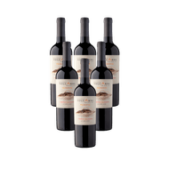 Kit de Vinho Chileno Volcanes De Chile Reserva Cabernet Sauvignon Tinto 750 Ml - 6 unidades