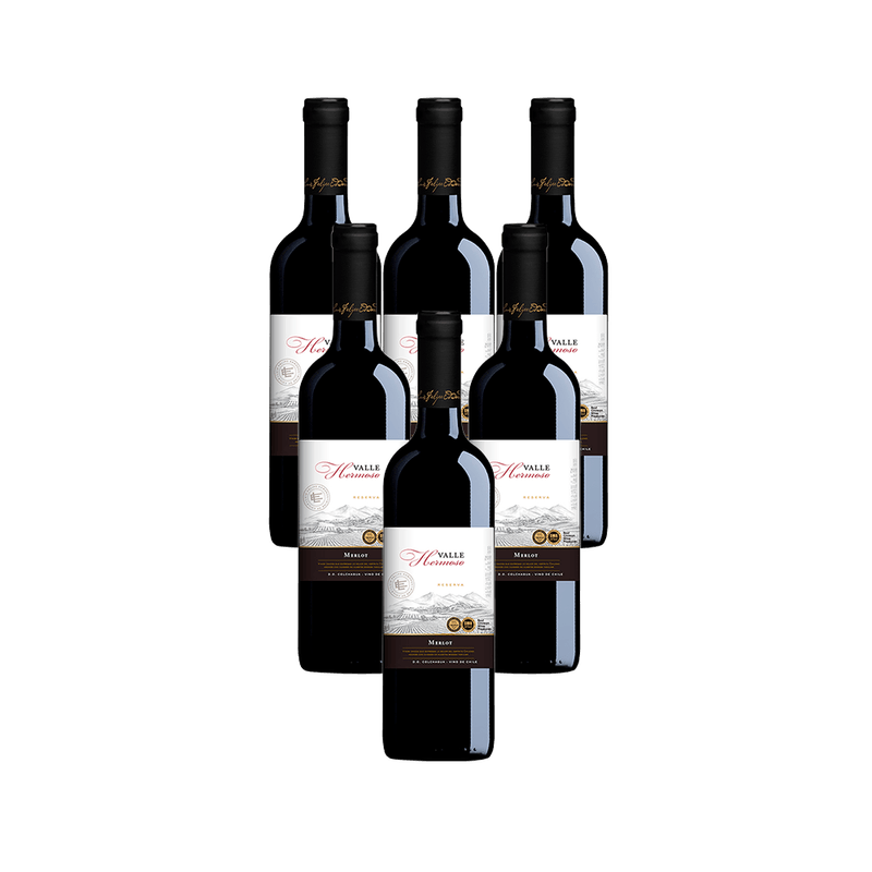 Kit-de-Vinho-Chileno-Luis-Felipe-Edwards-Valle-Hermoso-Reserva-Merlot-Tinto-750-Ml---6-unidades