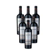 Kit de Vinho Ar Alzamora Malbec 750ml Tinto - 6 unidades