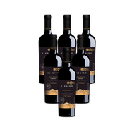 Kit de Vinho Chileno Luís Felipe Edwards Valle Hermoso Gran Reserva Carménère Tinto 750 Ml - 6 unidades