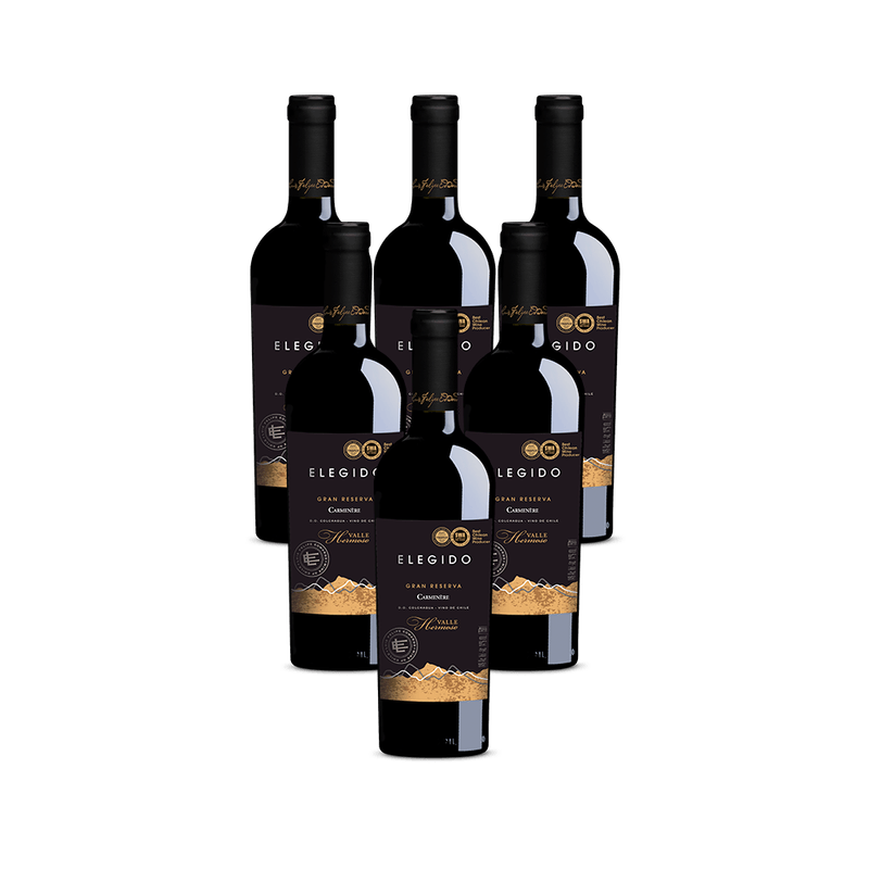 Kit-de-Vinho-Chileno-Luis-Felipe-Edwards-Valle-Hermoso-Gran-Reserva-Carmenere-Tinto-750-Ml---6-unidades