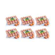 Kit de Bandejas c/ 20 unidades de Ovos Vermelhos Caipira Oba Bem Querer - 6 unidades