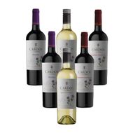 Kit Vinhos Dona Paula 6 unidades