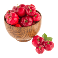 Acerola Bdj 300 G