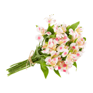 Alstroemeria Nacional Maço Com 10