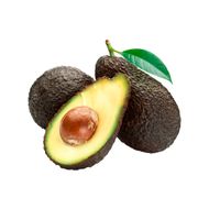 Abacate Avocado