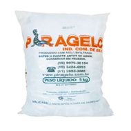 Gelo Cubos Piragelo 5 Kg