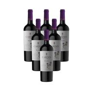 Vinho Argentino Dona Paula Los Cardos Malbec Tinto 750 Ml