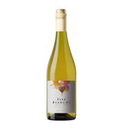 Vinho Argentino Elsa Bianchi Chardonnay Branco 750 Ml