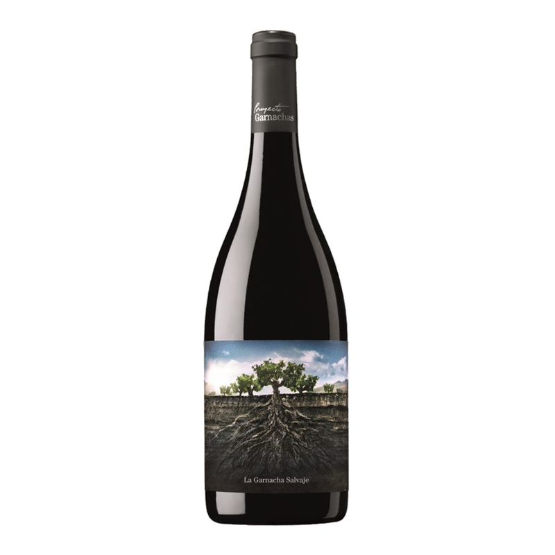 Vinho-Espanhol-Garnacha-Salvaje-De-Moncayo-750-Ml