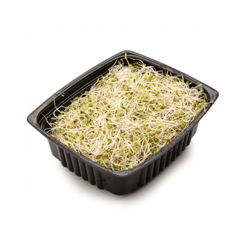 Broto-De-Alfafa-Biomas-120-G