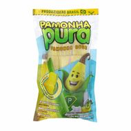 Pamonha Doce Tradicional Sem Lactose Pamonha Pura 210 G